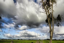 体坛名场面｜全红婵跳不了三米板？教科书级一跳击碎所有质疑，轰动整个跳水界.