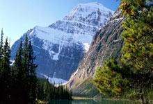 体坛名场面|全红婵跳不了三米板?教科书级一跳击碎所有质疑,轰动整个跳水界.