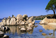 亿万28国际体育:詹姆斯东契奇双双休战 湖人遭遇四连败.